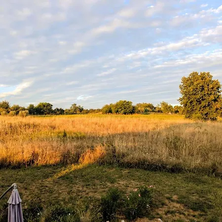 Country House Holiday home Marezige